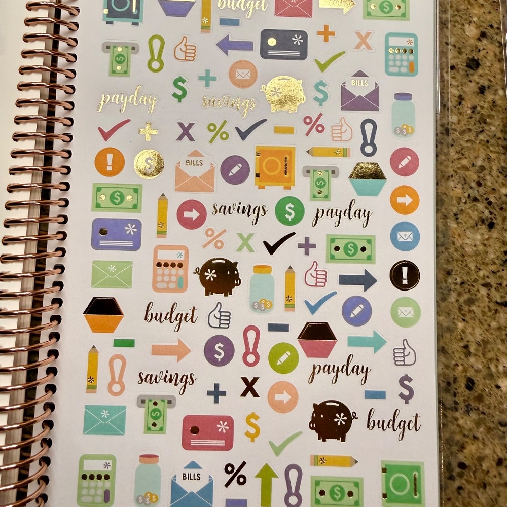 💰 Erin Condren A5 Budget Planner Bundle - Picture 11 of 16